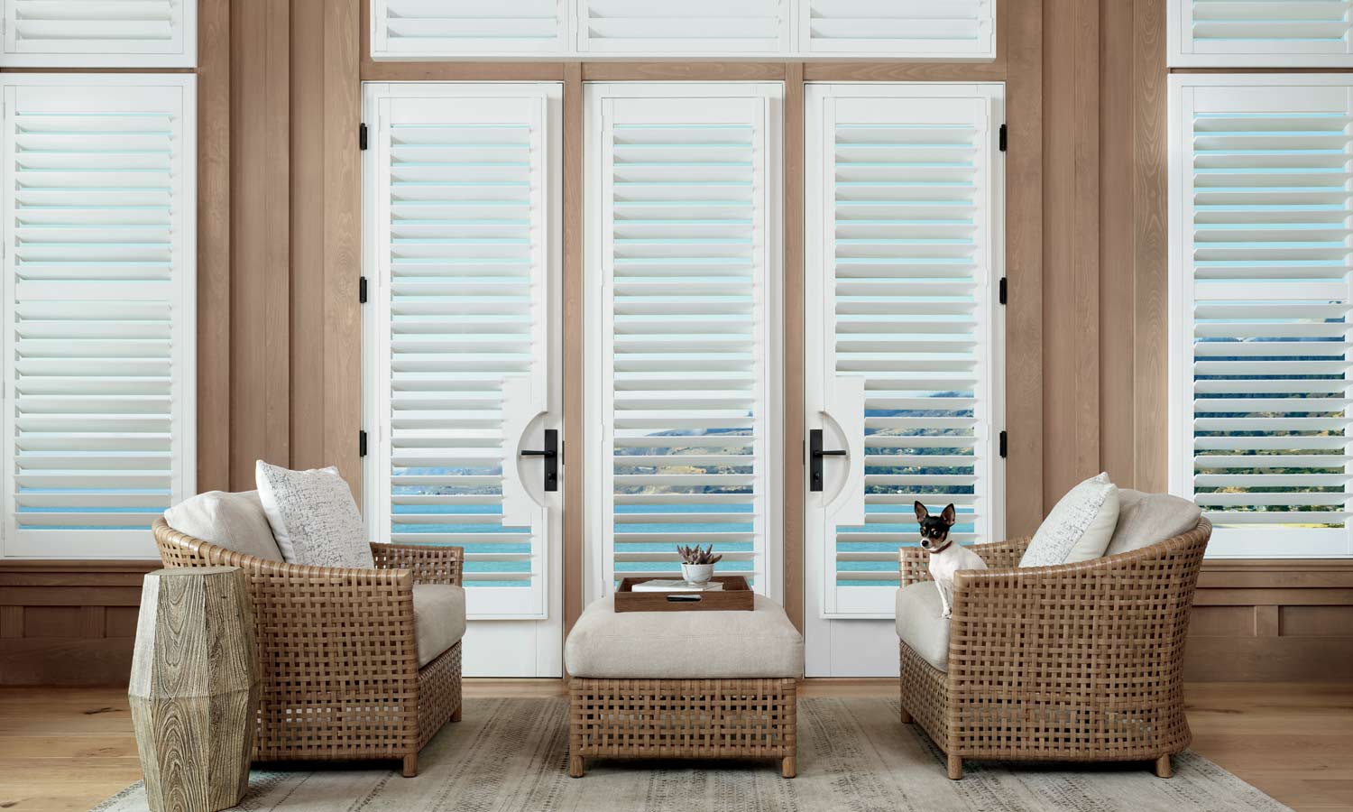 white shutters on french doors with door handle cut outs