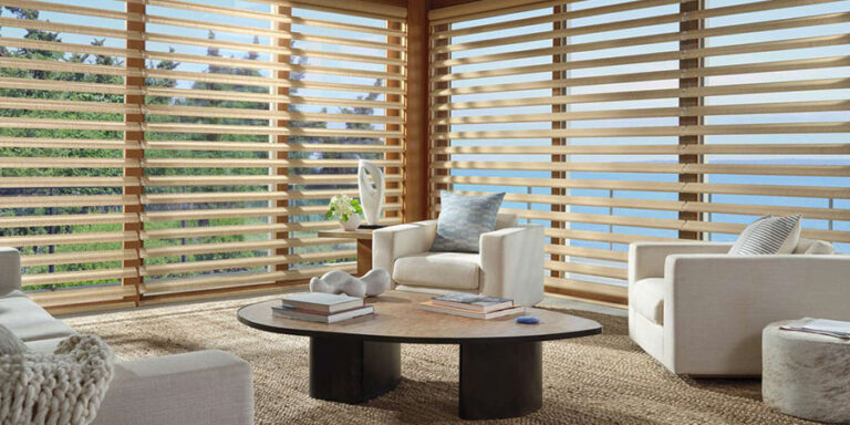 sheer shades on living room windows for reduced glare and outdoor views