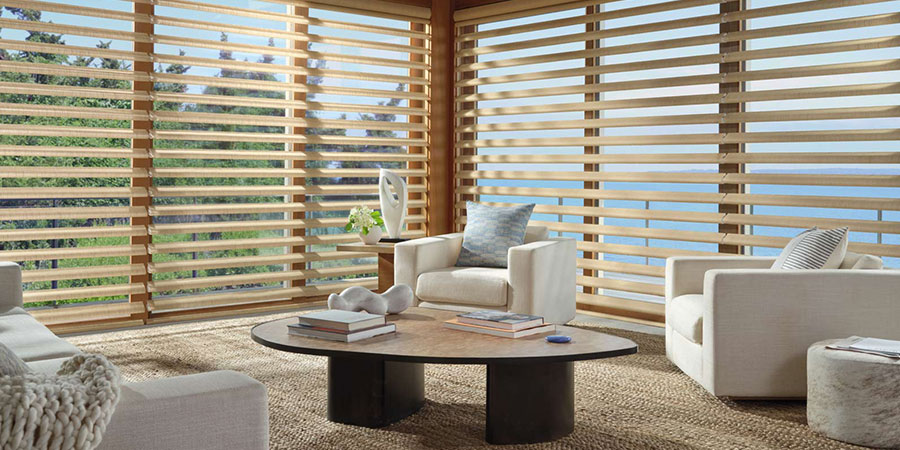 sheer shades on living room windows for reduced glare and outdoor views
