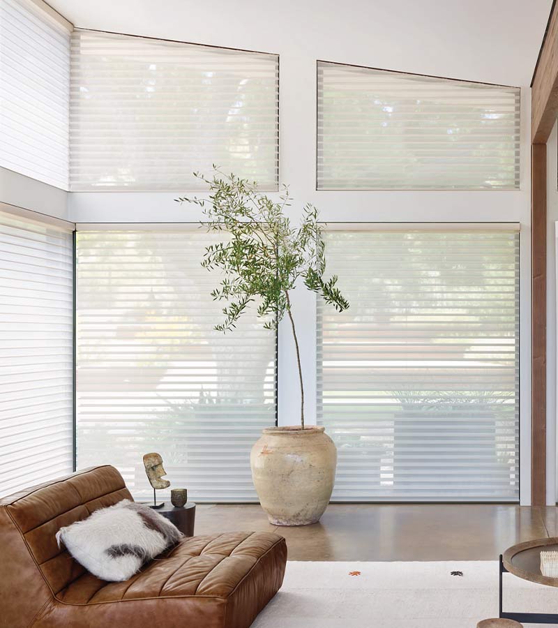 specialty windows in living room with white sheer window shades