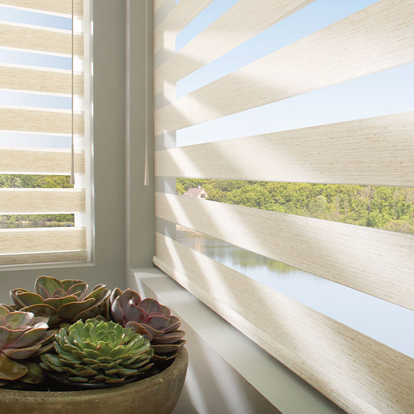 deisgner-banded-shades-gotcha-covered-seeview-blinds designer banded shades with succulents