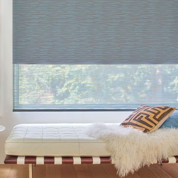 deisgner-roller-shades-gotcha-covered-seeview-blinds