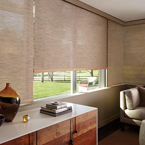 deisgner-screen-shades-gotcha-covered-seeview-blinds