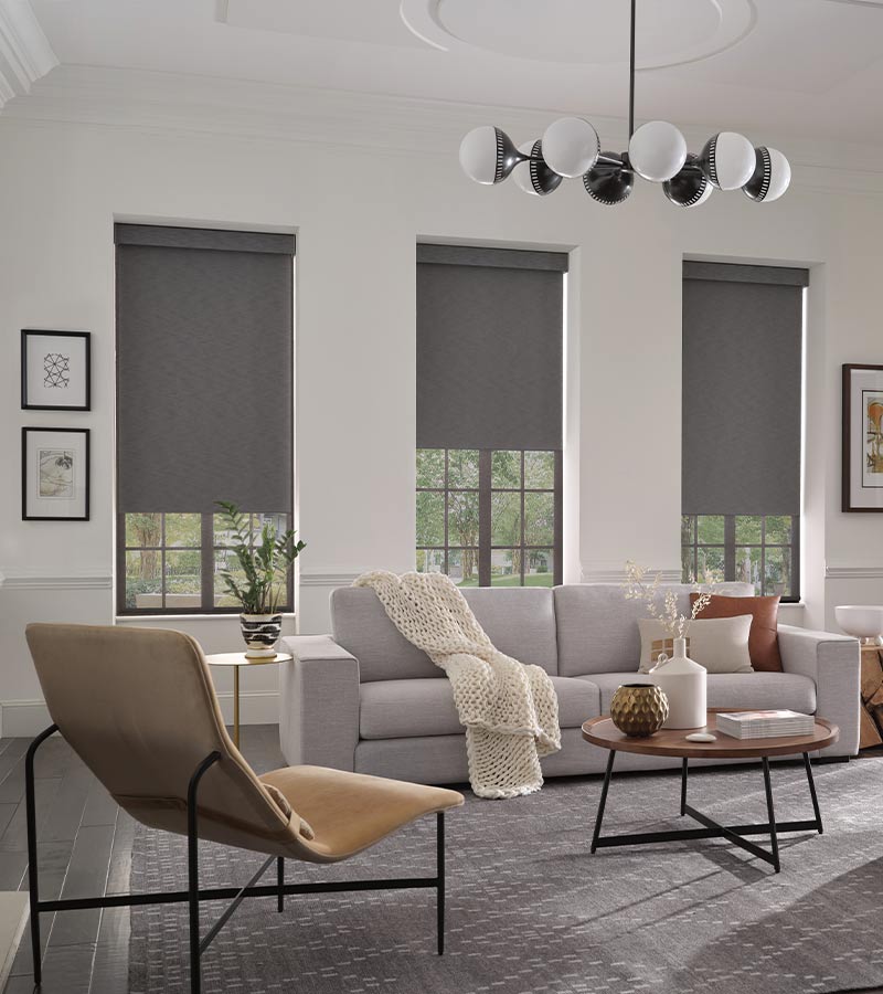 gray dual roller shades in living room Halifax NS