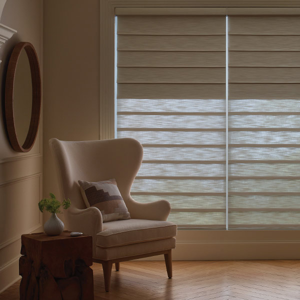 dual-window-blinds-and-shade-solutions-hunter-douglas-gotcha-covered-seeview-blinds dual shades window solutions