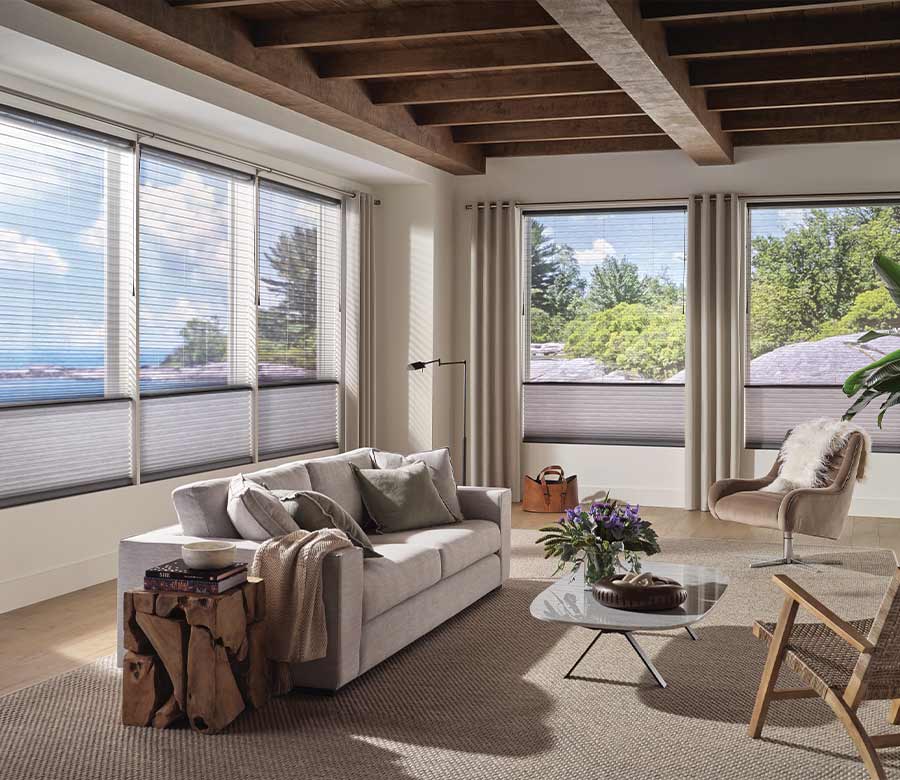 living room with cellular window shades