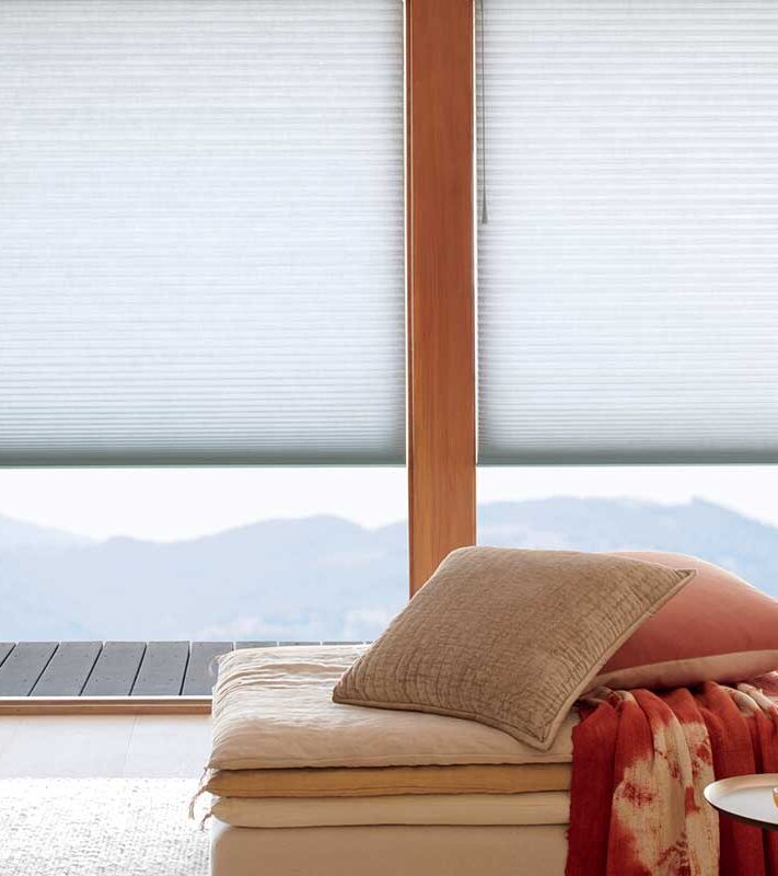living room with window shades showing view of mountains