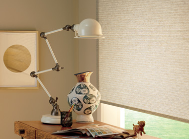 roller shades in home office