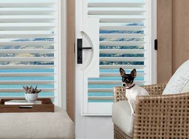white shutters with door handle cut outs