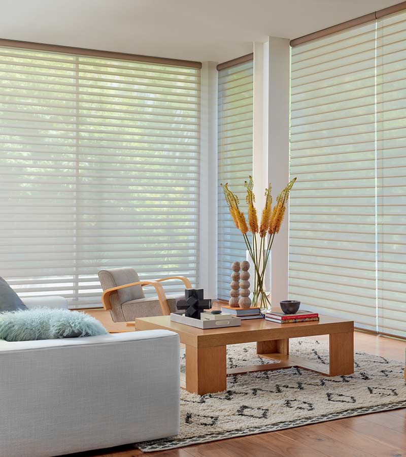floor to ceiling window treatments in living room