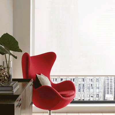 opacity-and-uv-protection-hunter-douglas-seeview-blinds white dual window shades in bedroom