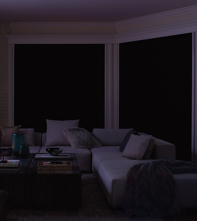 black out shades for media room