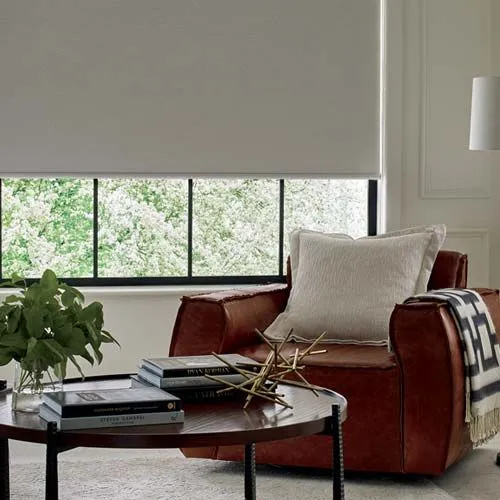 room-darkening-designer-roller living room with white designer window roller shades with leather chair