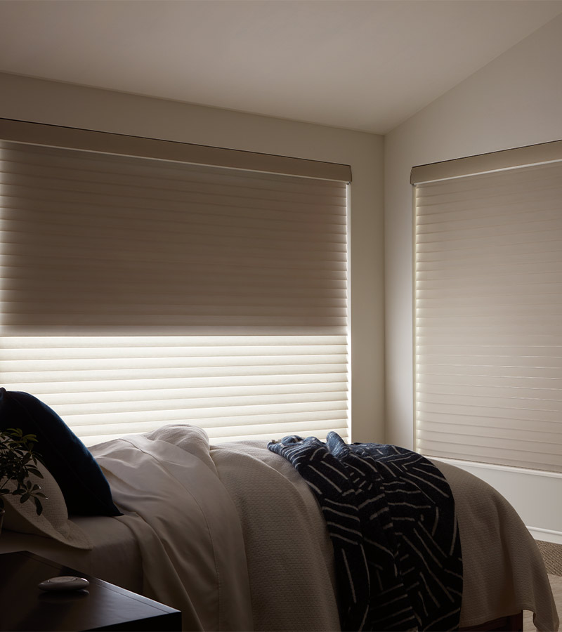 dual shades in guest bedroom for room darkening