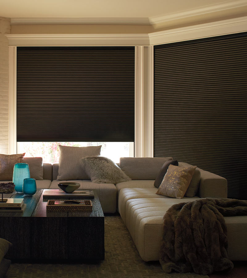 media room with room darkening window shades