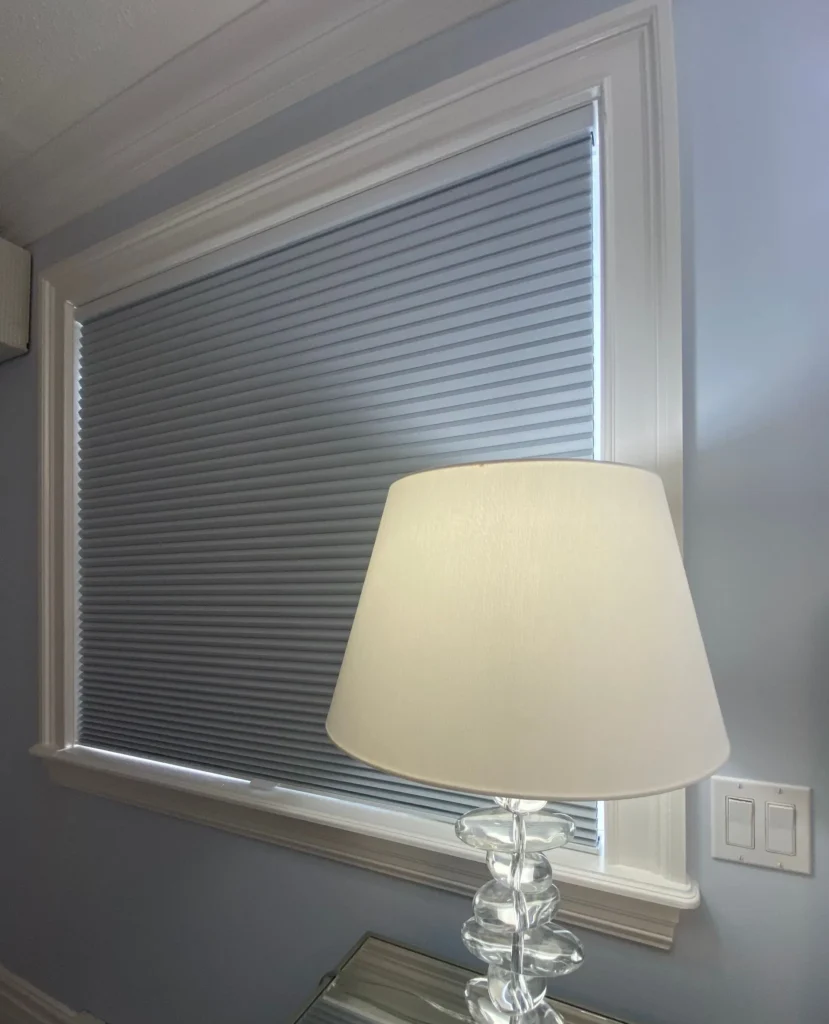 recent work of seeview gotcha covered window shades