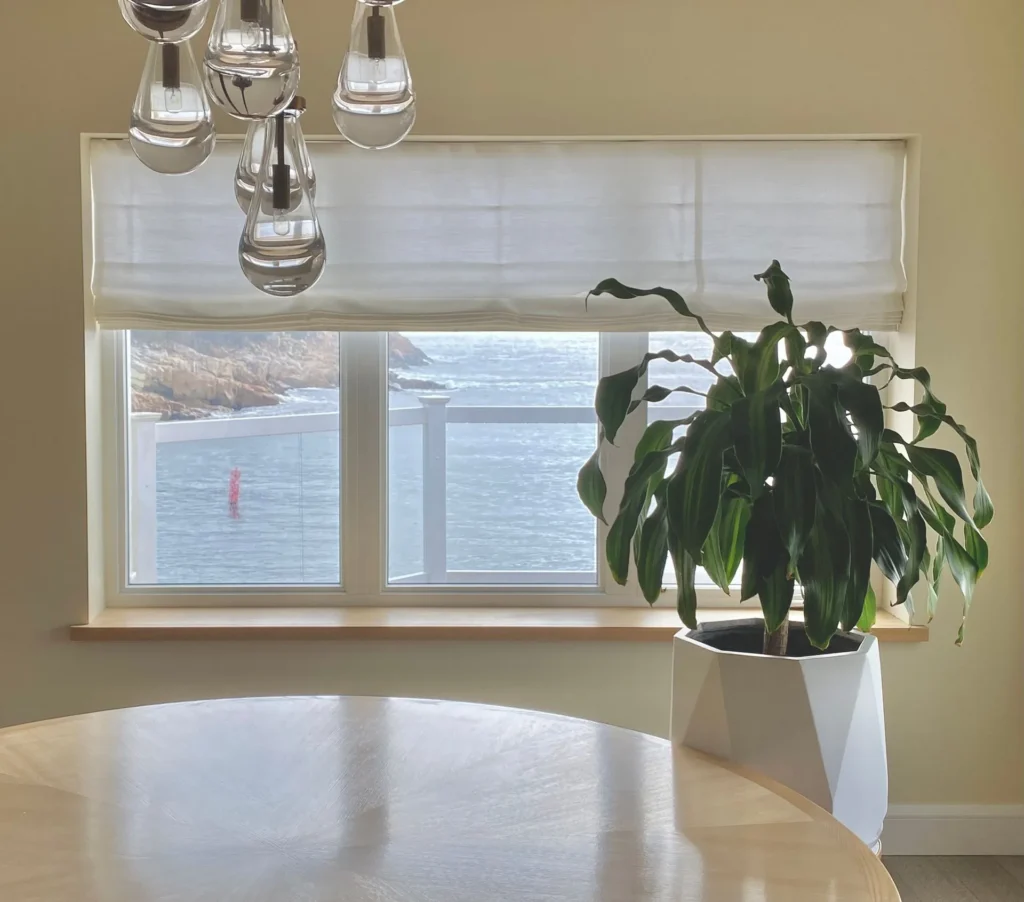 dining room with white roman shades