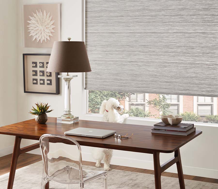 gray textured woven shade in home office with dog looking out window