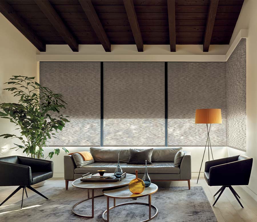 gray dual shade woven textured shades in living room