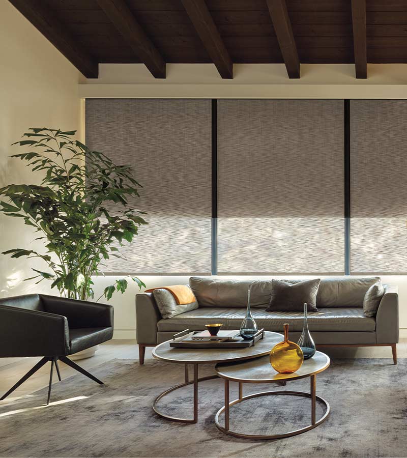 living room with dual roller shades woven textures