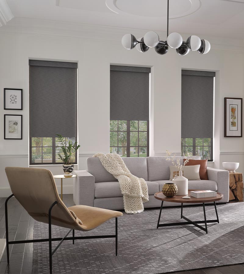 gray designer roller shades in living room modern