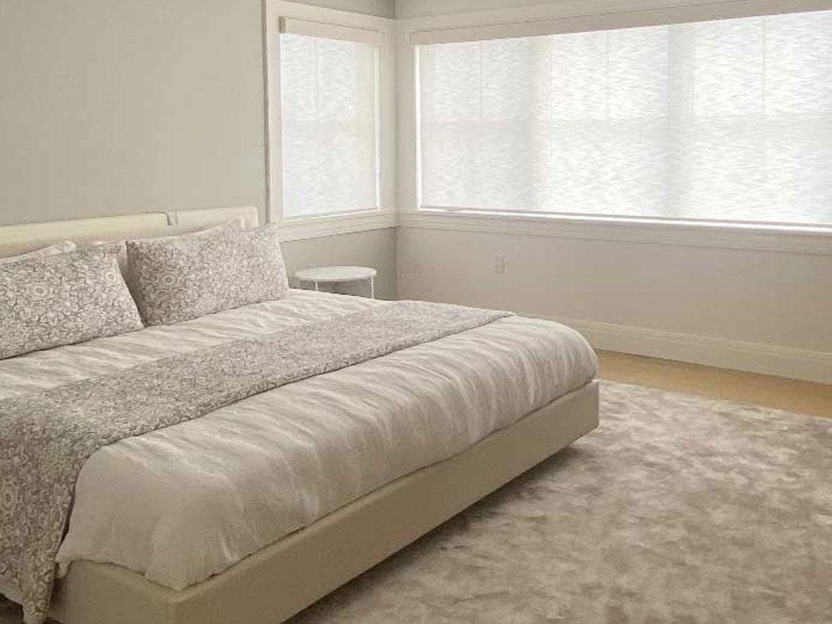 Hunter Douglas Shades