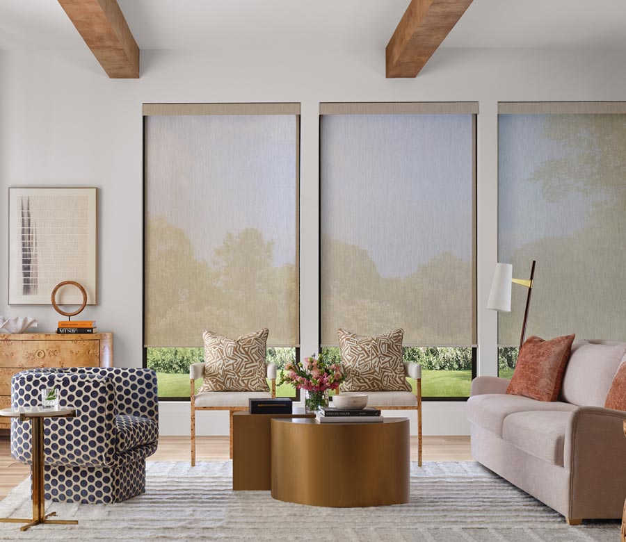 light-filtering-designer-screen-shades-with-gliding-window-panels-by-hunter-douglas-living-room-gotcha-covered-seeview designer screen shades in living area with neutral colors